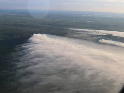 Пожарные показали фото тушения леса под Рязанью