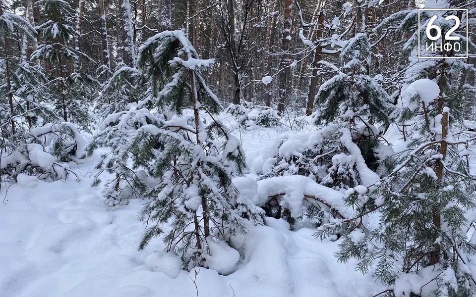 13 февраля в Рязанской области прогнозируют мокрый снег и до -10°С - 62ИНФО 13 февраля в Рязанской области прогнозируют мокрый снег и до -10°С - 62ИНФО
