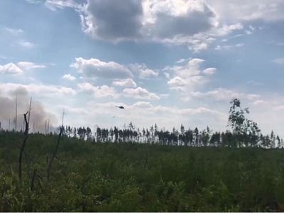 Рязанскому минприроды поручили усилить контроль над лесопожарной обстановкой