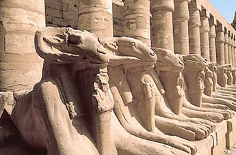 Аллея бараноголовых сфинксов перед храмом Амона-Ра в Луксоре.