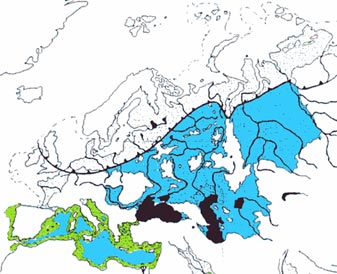 По модели А.В. и В.Н. Карнауховых в момент таяния ледника Европейская часть России вообще была сплошным пресноводным внутренним морем.