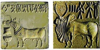 Священные единорог (слева) и бык (справа) на печатях из Мохенджо-Даро (специально даю оба изображения, чтобы показать, что разницу между ними древние харрапцы понимали).