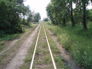 Рязанско-Владимирская узкоколейная железная дорога, 2006 год.