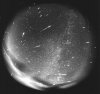 Метеорный поток Леониды. Хотя Леониды появляются каждый год, интенсивность ливня не всегда одинакова, и по описанию можно довольно точно установить, о каком именно событии идет речь. Фото: Astronomical Observatory Modra