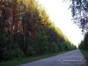 Дорога между селами Веретье и Федотьево