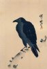 Из коллекции: Каванабэ Кёсай. Ворона на сухом дереве