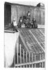 С августа 1917 по апрель 1918 года царская семья находилась в Тобольске. На снимке: бывший царь с детьми наслаждаются скупыми лучами сибирского солнца на крыше теплицы. 