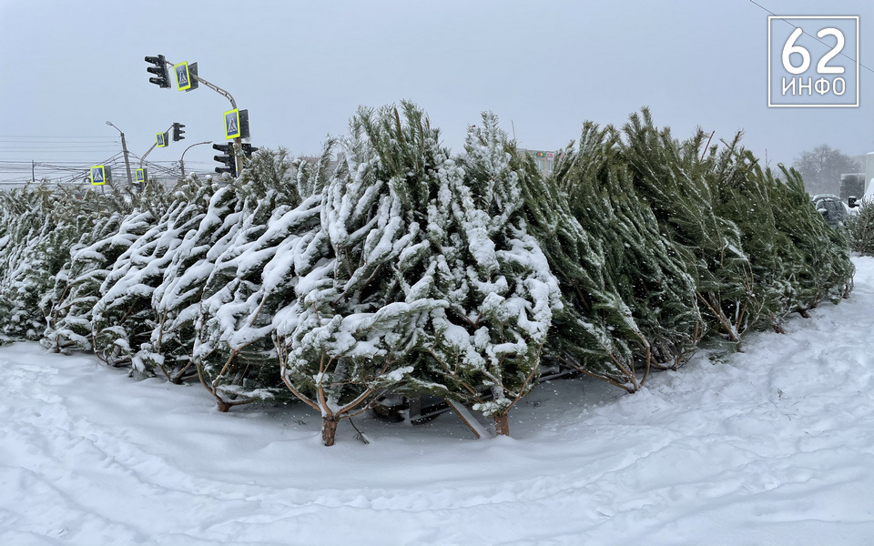 Госдума может сделать 31 декабря выходным в России - 62ИНФО Госдума может сделать 31 декабря выходным в России - 62ИНФО