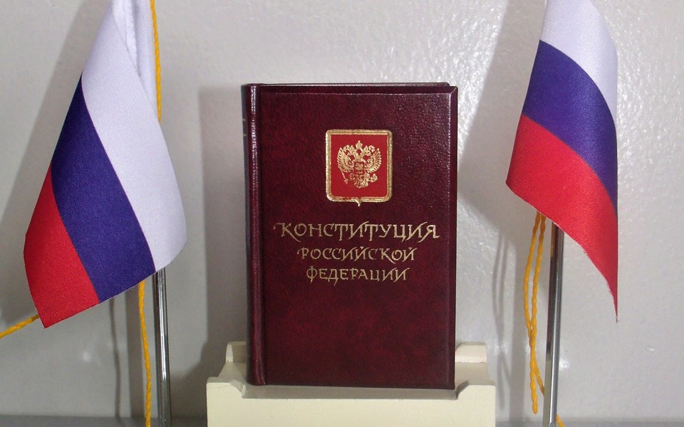Голосование по Конституции в Рязанской области