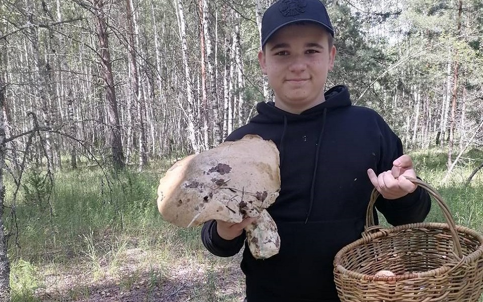 В лесу под Рязанью касимовский школьник нашел белый гриб-гигант в 1 кг - 62ИНФО В лесу под Рязанью касимовский школьник нашел белый гриб-гигант в 1 кг - 62ИНФО