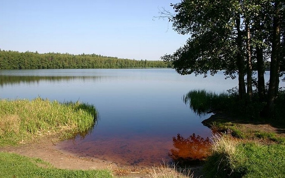куда можно съездить искупаться в рязани. Смотреть фото куда можно съездить искупаться в рязани. Смотреть картинку куда можно съездить искупаться в рязани. Картинка про куда можно съездить искупаться в рязани. Фото куда можно съездить искупаться в рязани куда можно съездить искупаться в рязани. Смотреть фото куда можно съездить искупаться в рязани. Смотреть картинку куда можно съездить искупаться в рязани. Картинка про куда можно съездить искупаться в рязани. Фото куда можно съездить искупаться в рязани