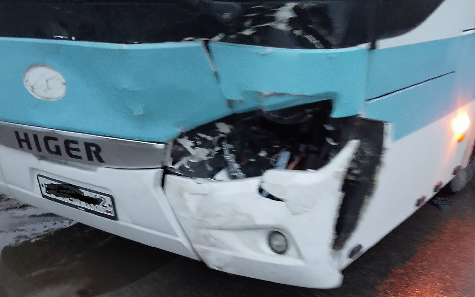 В Рязанской области автобус сбил корову - 62ИНФО В Рязанской области автобус сбил корову - 62ИНФО