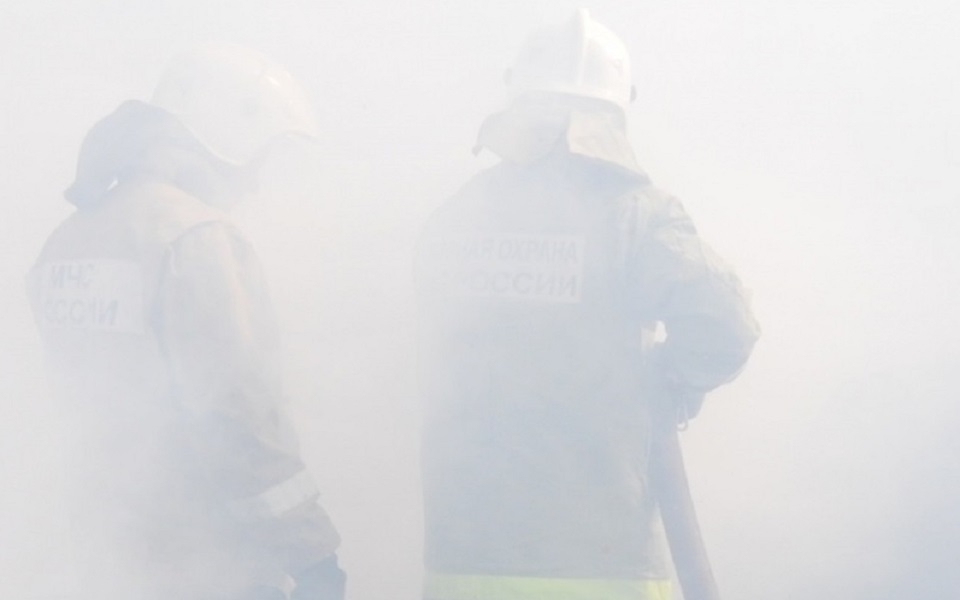 В Рязанской области в два раза выросло число погибших на пожарах - 62ИНФО В Рязанской области в два раза выросло число погибших на пожарах - 62ИНФО