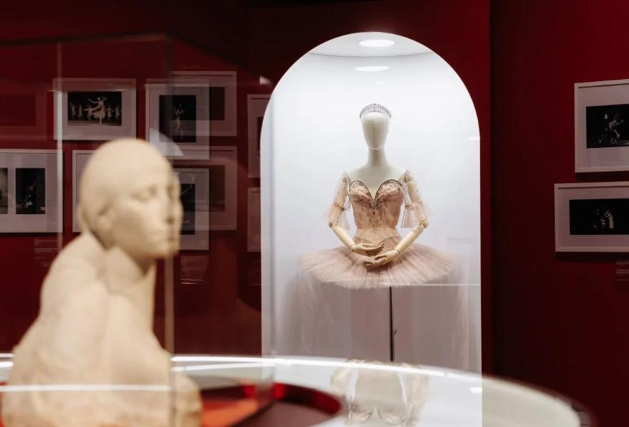 Рязанский губернатор Малков объявил об открытии выставки в честь Майи Плесецкой - 62ИНФО Рязанский губернатор Малков объявил об открытии выставки в честь Майи Плесецкой - 62ИНФО