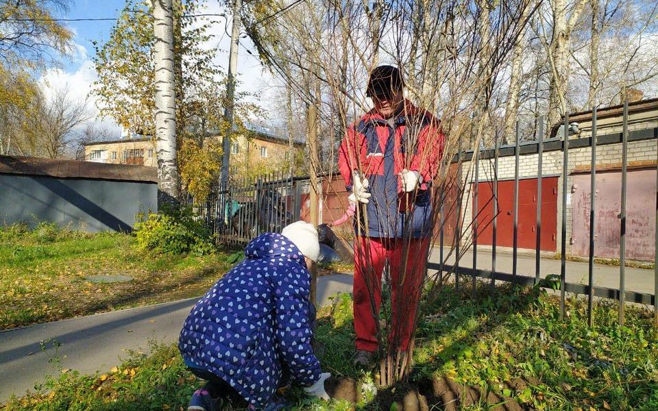 В выходные активисты рязанских ТОС высадили деревья и кустарники - 62ИНФО В выходные активисты рязанских ТОС высадили деревья и кустарники - 62ИНФО