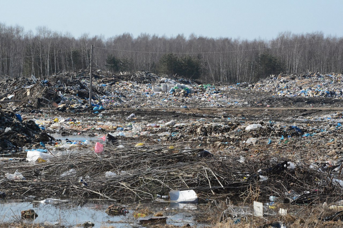 «Московский мусор» в Рязанской области