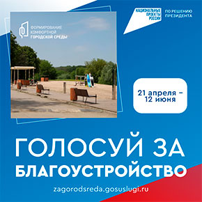 голосование за благоустройство