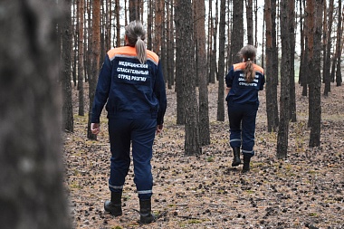 Рязанские добровольцы спасли кота 