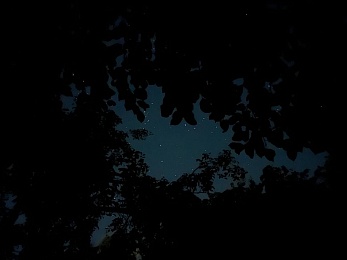 Провожаем лето: красивые фото Рязанской области с настроением отпуска