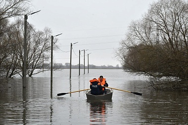 Губернатор Павел Малков осмотрел подтопления в рязанском Лесопарке и Борках 