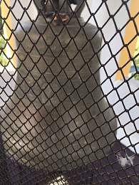 В Рязани продолжаются экскурсии на Соборную колокольню кремля