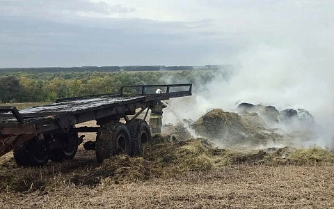 В Сараевском округе сгорела телега с тюками сена