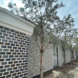 Для жителей ЖК Pride Park установят тротуар с подогревом