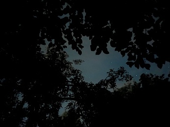 Салют Персеид: рязанцы делятся фото главного звездопада августа