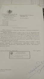 Дамоклов ствол: рязанцы жалуются на опасные деревья у детской площадки