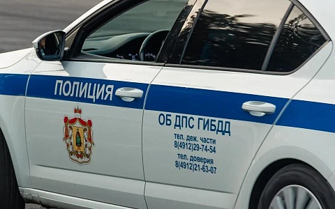 В Спасском округе автоинспекторы провели профилактическую акцию 