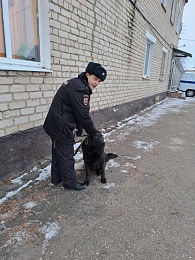 За выходные в Рязанской области остановили 29 пьяных водителей 