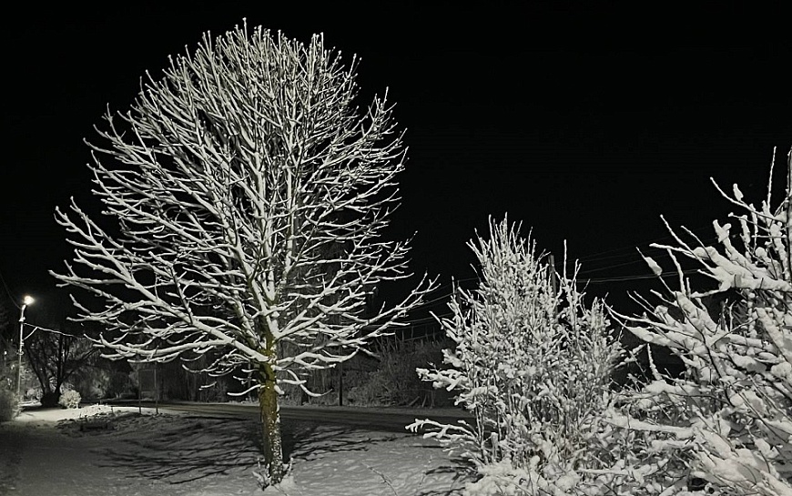 Мерзлый туман и -28°С ждут Рязанскую область 18 февраля