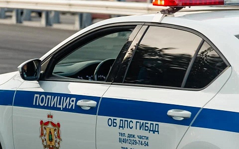 Госавтоинспекция поймала 14 пьяных водителей за три дня в Рязанской области 