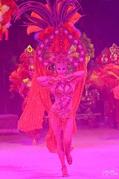 В Рязанском цирке представят шоу Гии Эрадзе «Песчаная Сказка» 