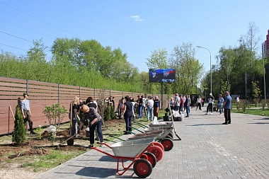 В Гвардейском сквере высадили сирень и ивы
