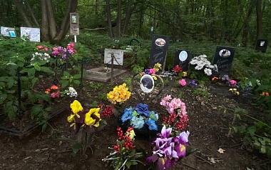 Кладбища домашних животных: где в Рязани хоронят кошек и собак