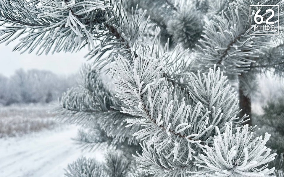 В Рязанской области сохранятся морозы - 62ИНФО
