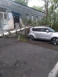 Гроза в Рязани: фоторепортаж ущерба - 62ИНФО Гроза в Рязани: фоторепортаж ущерба