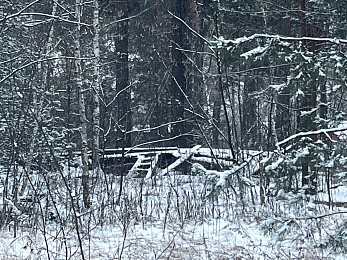 В рязанском лесу сфотографировали заброшки и лестницу в никуда - 62ИНФО В рязанском лесу сфотографировали заброшки и лестницу в никуда