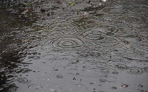 Гроза и дожди ожидаются в Рязанской области