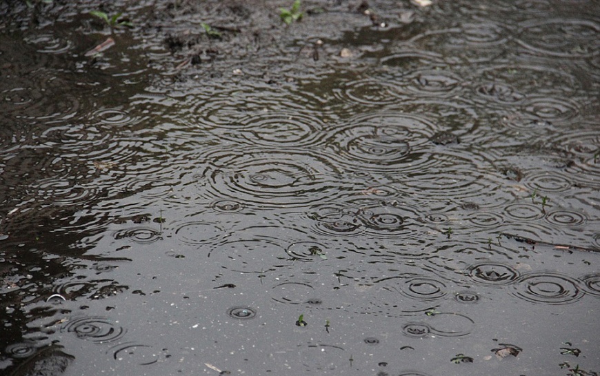 Гроза и дожди ожидаются в Рязанской области
