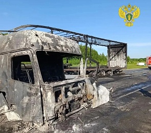 Прокуратура опубликовала фото с места ДТП в Скопинском округе