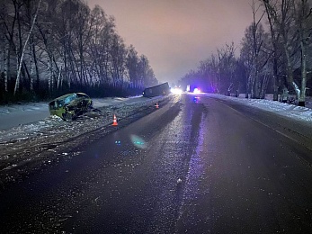В ДТП с грузовиком в Путятинском районе пострадал мужчина