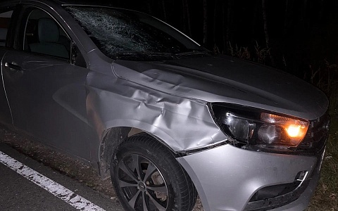 В Шиловском округе насмерть сбили 40-летнего мужчину