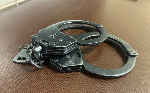 Рязанские полицейские задержали наркомана, подозреваемого похищении легковушки