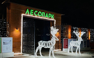 Рязанский Лесопарк готовится к Новому году