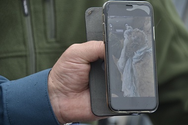 Дым без огня. Как выглядит лесной пожар под Рязанью спустя неделю 