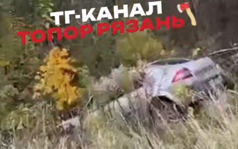 Легковушка вылетела с дороги через пешеходную зону в лесополосу в Рязани Легковушка вылетела с дороги через пешеходную зону в лесополосу в Рязани