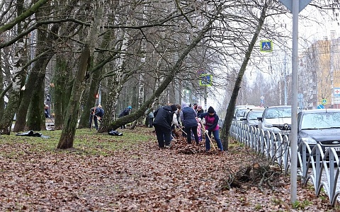 В Рязани на субботник 11 апреля вышли свыше 300 человек