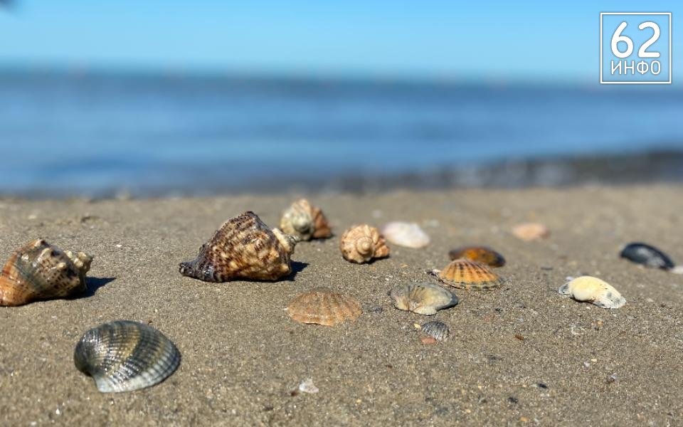 На берегу Анапы зафиксировали ещё 7 выбросов мазута - 62ИНФО